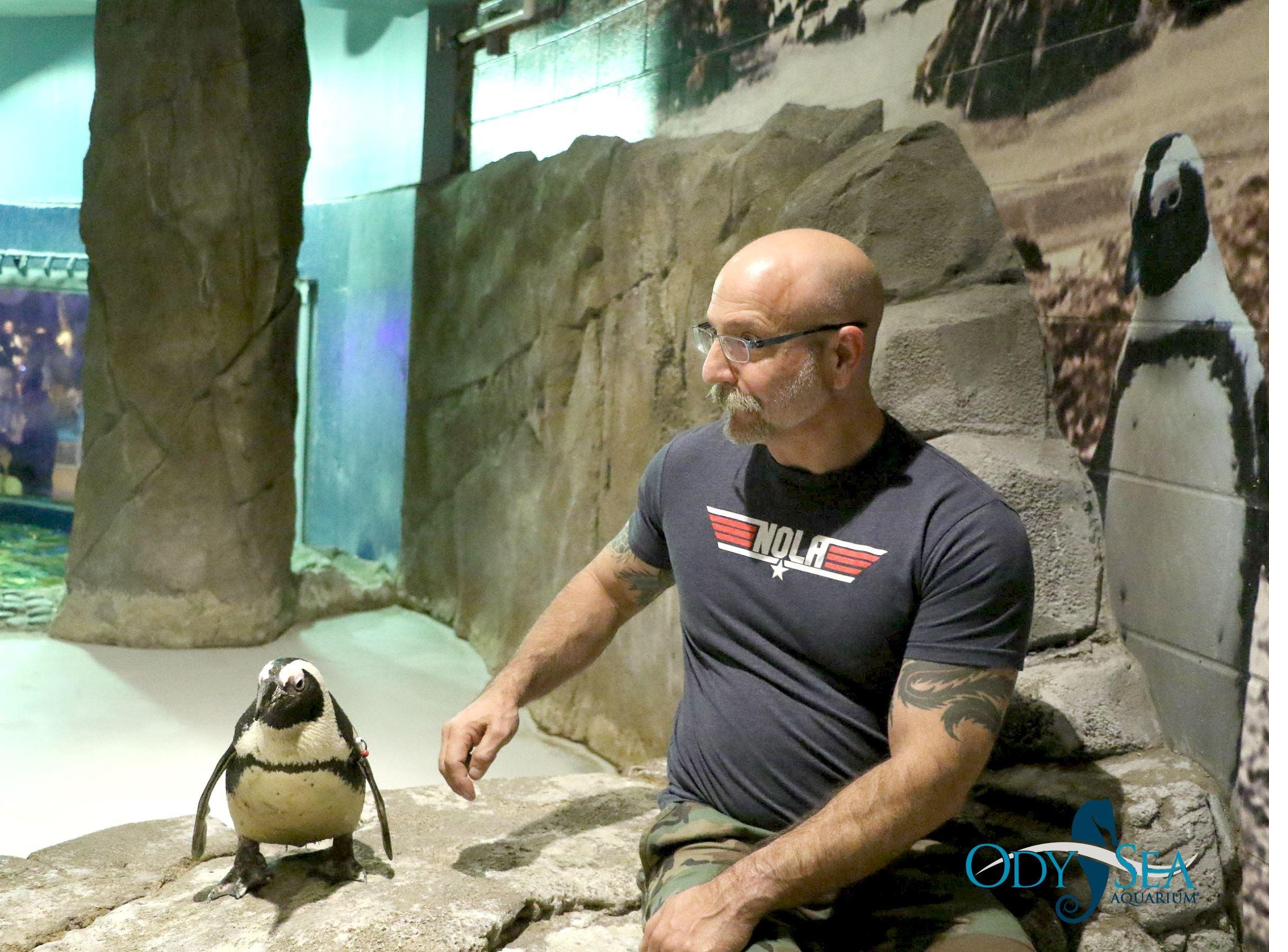 Barclay Barrios sits at an aquarium exhibit as a penguin approaches.
